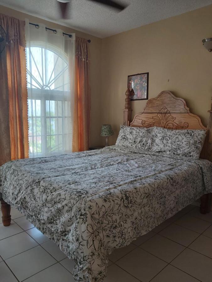 Elegant Condo Awesome View Ocho Rios Bagian luar foto